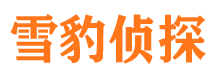 宁河外遇出轨调查取证